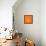 Panda on Orange-Lisa Kroll-Framed Stretched Canvas displayed on a wall