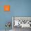 Panda on Orange-Lisa Kroll-Stretched Canvas displayed on a wall