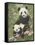 Panda Paradise-William Vanderdasson-Framed Stretched Canvas