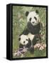 Panda Paradise-William Vanderdasson-Framed Stretched Canvas