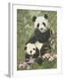 Panda Paradise-William Vanderdasson-Framed Giclee Print