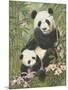 Panda Paradise-William Vanderdasson-Mounted Giclee Print