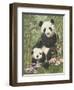 Panda Paradise-William Vanderdasson-Framed Giclee Print