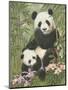 Panda Paradise-William Vanderdasson-Mounted Giclee Print