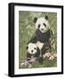 Panda Paradise-William Vanderdasson-Framed Giclee Print