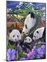 Panda Play-Graeme Stevenson-Mounted Giclee Print