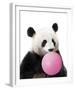 Panda Pop-Contemporary Photography-Framed Giclee Print