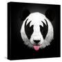 Panda Rocks-Robert Farkas-Stretched Canvas