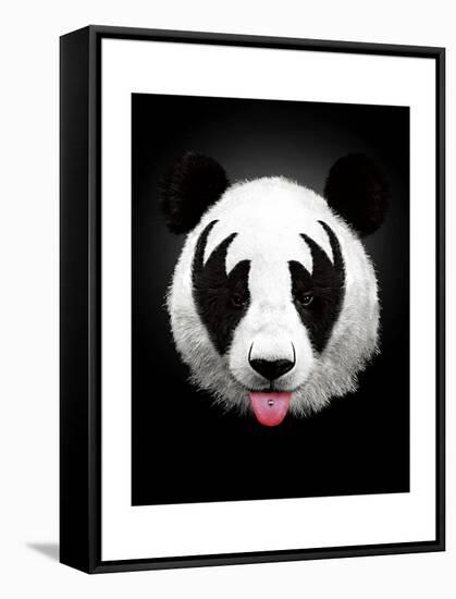 Panda Rocks-Robert Farkas-Framed Stretched Canvas