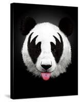 Panda Rocks-Robert Farkas-Stretched Canvas