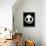 Panda Rocks-Robert Farkas-Stretched Canvas displayed on a wall