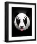 Panda Rocks-Robert Farkas-Framed Art Print