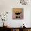 Panda with Guns-Banksy-Mounted Giclee Print displayed on a wall