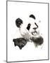 Panda-Philippe Debongnie-Mounted Art Print