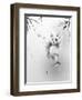 Panda-Alexis Marcou-Framed Art Print