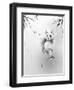 Panda-Alexis Marcou-Framed Art Print