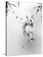 Panda-Alexis Marcou-Stretched Canvas