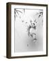 Panda-Alexis Marcou-Framed Art Print