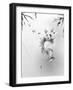 Panda-Alexis Marcou-Framed Art Print