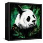 Panda-null-Framed Stretched Canvas