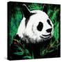 Panda-null-Stretched Canvas