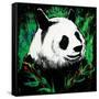 Panda-null-Framed Stretched Canvas