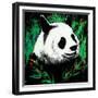 Panda-null-Framed Premium Giclee Print