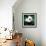 Panda-null-Framed Art Print displayed on a wall