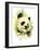 Panda-Tim Knepp-Framed Giclee Print