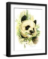 Panda-Tim Knepp-Framed Giclee Print