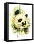 Panda-Tim Knepp-Framed Stretched Canvas