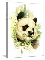 Panda-Tim Knepp-Stretched Canvas