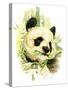 Panda-Tim Knepp-Stretched Canvas