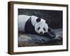 Panda-Rusty Frentner-Framed Giclee Print