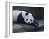 Panda-Rusty Frentner-Framed Giclee Print