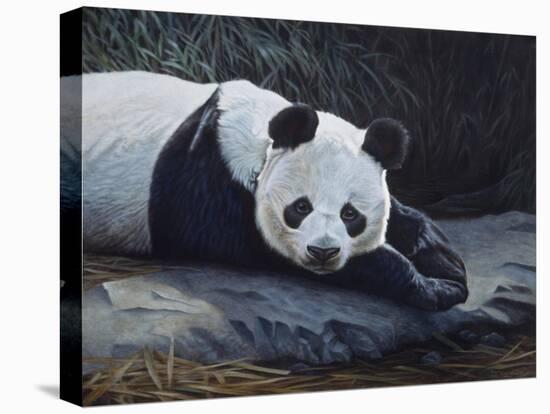 Panda-Rusty Frentner-Stretched Canvas