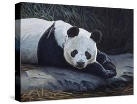 Panda-Rusty Frentner-Stretched Canvas