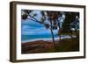 Pandanus trees at dusk, Noosa, Sunshine Coast, Queensland, Australia-Mark A Johnson-Framed Photographic Print