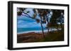 Pandanus trees at dusk, Noosa, Sunshine Coast, Queensland, Australia-Mark A Johnson-Framed Photographic Print