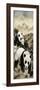 Pandas-null-Framed Giclee Print