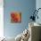 Pandora's Bouquet I-Pamela Gladding-Mounted Art Print displayed on a wall