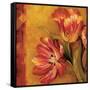 Pandora's Bouquet II-Pamela Gladding-Framed Stretched Canvas