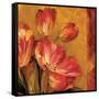 Pandora's Bouquet III-Pamela Gladding-Framed Stretched Canvas