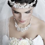 Portrait of Beautiful Bride-Pandorabox-Laminated Photographic Print