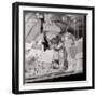 Pane e Vino #1-Alan Blaustein-Framed Photographic Print