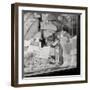 Pane e Vino I-Alan Blaustein-Framed Photographic Print