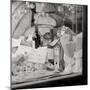 Pane e Vino I-Alan Blaustein-Mounted Photographic Print