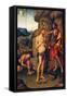 Panel Depicting Baptism of Christ, 1534-Marco Palmezzano-Framed Stretched Canvas