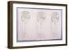 Panel of Three Stylised Rose Motifs in Green and Cream, for One Back of a Corner Settle-Charles Rennie Mackintosh-Framed Giclee Print