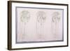 Panel of Three Stylised Rose Motifs in Green and Cream, for One Back of a Corner Settle-Charles Rennie Mackintosh-Framed Giclee Print